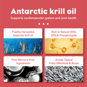 Fabricant OEM/ODM d'huile de krill antarctique riche en oméga 3 EPA DHA, astaxanthine naturelle, soutient le système immunitaire et la santé du cerveau - Product Image 5