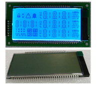 Affichage LCD Monochrome à 7 Segments Personnalisé en Usine, Taille Personnalisée, TN HTN FSTN Noir, Compteur d'Énergie