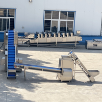 KLS Smart Automatisch Knoflook- en Fruitverwerkingsysteem Hoge Capaciteit Energiebesparende Geïntegreerde Was-, Schil- en Snijlijn