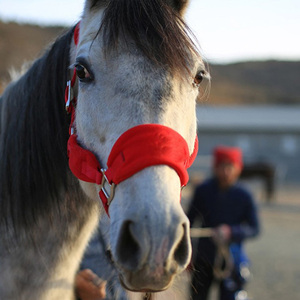 Harnais de cheval western en nylon réglable personnalisé avec doublure en polaire pour <span class=keywords><strong>animaux</strong></span> et rembourrage doux - Product Image 5
