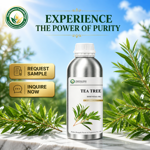 Agent antibactérien naturel Huile d'<span class=keywords><strong>arbre</strong></span> à thé (Melaleuca Alternifolia) pour la désinfection et la purification des surfaces - Product Image 6