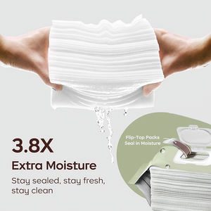 婴儿湿巾制造商 OEM 批发 婴儿湿巾 私人品牌 定制包装 婴儿湿巾 - Product Image 3