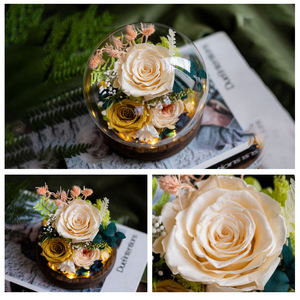 Rosas de Clavel de Larga Duración, Flores Preservadas Reales, Eternas <span class=keywords><strong>y</strong></span> Lujosas en Cristal, para el Día de San Valentín, Día de <span class=keywords><strong>la</strong></span> Madre, Navidad, Graduación - Product Image 2