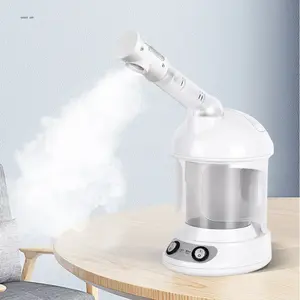 Mist electrodoméstico de alta calidad nano spray logotipo personalizado lámpara de iones eléctrica vaporizador facial portátil