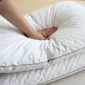 Bantal ruang tamu Set dua Bantal Microfiber masukkan bantal selimut, serat lembut mengisi, selimut bernapas untuk tidur