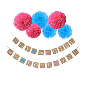 2022 Hot sale boy or girl decoration baby shower gender reveal party decoration supplies gender reveal decoration