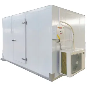 Attrezzatura refrigerata prezzo competitivo camera di raffreddamento di pesce blast freezer per blocco di ghiaccio cella frigorifera