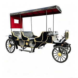 Carroza de Caballos de Acero para 6 Personas, Carroza Turística con Ruedas Decorativas de Acero para Visitas Turísticas en Resorts - Product Image 4