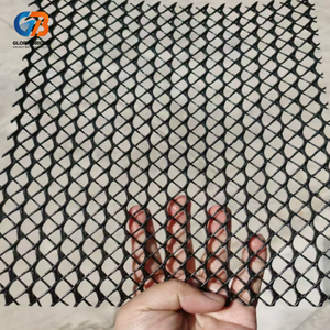 Géonetz composite de drainage en HDPE 3D avec <span class=keywords><strong>géotextile</strong></span> à fibres longues pour la collecte des eaux de drainage des décharges, des barrages et des jardins - Product Image 5
