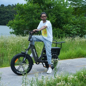 Zerogo 2025 personalizado C1 20 pulgadas Fat Tire 250W bicicleta de carga eléctrica freno de disco hidráulico bicicleta de carga eléctrica - Product Image 1