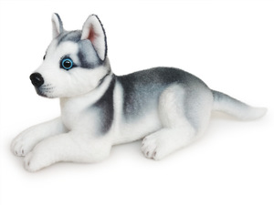 Simulazione Husky <span class=keywords><strong>Dog</strong></span> peluche giocattolo barboncino Bichon Frise Pug <span class=keywords><strong>Chihuahua</strong></span> Shiba Inu Bull Terrier imbottito bambola di animali cuscino per bambini regalo - Product Image 5