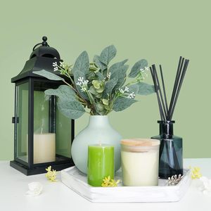 Ramas de Hojas de <span class=keywords><strong>Eucalipto</strong></span> Mixtas a Granel, Hojas de <span class=keywords><strong>Eucalipto</strong></span> Ovaladas con Semillas Blancas, Ramas para Coronas Florales, Guirnaldas, Ramos y Decoración Verde - Product Image 6