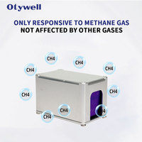 Détecteur intelligent de méthane, capteur laser modulaire à réponse rapide avec alarme photo en temps réel