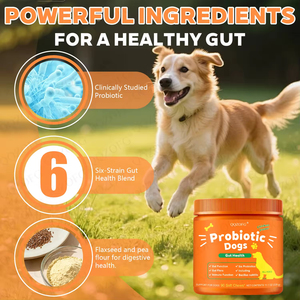 Probióticos para Perros en Oferta, Enzimas Digestivas para la Flora Intestinal, Salud Digestiva, <span class=keywords><strong>Diarrea</strong></span> y Apoyo Intestinal, Probióticos para Mascotas - Product Image 4