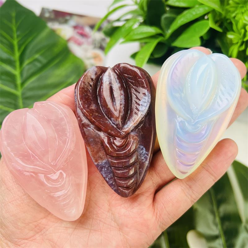 Qizning mushuk surati bor