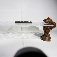 OEM personnalisé art haut de gamme hôtel villa salon usage domestique table basse en acrylique transparent