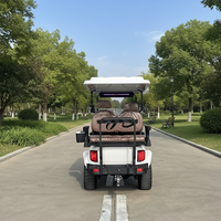 Voiturette de golf électrique personnalisable 5KW AC, 4 places, batterie lithium 48V, châssis métallique, pour terrains de golf et villas de vacances
