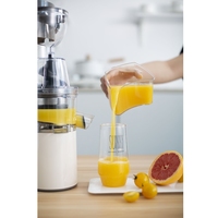 Hoge Kwaliteit Koude Pers Verticale Langzaam Fruit Juicer 300Ml Voor Thuisgebruik Eenvoudig Schoon Langzaam Makende Juicer