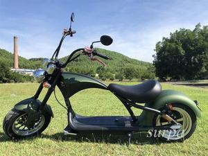 Pneu fat bike électrique citycoco, scooter électrique, pays-bas, entrepôt en stock, 1500w 2000w - Product Image 6