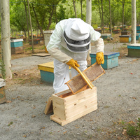 Nouveau kit de ruche Nuc Langstroth en bois de sapin Witbee pour l'élevage de reines, équipement d'apiculture, boîte Nuc 5 cadres avec fondation (2 ans)
