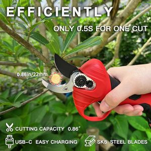 Migliori Prezzi YODOO Vendita Calda Forbici Elettriche da Giardino per Rami Alti Cesoie Elettriche con Asta Lunga - Product Image 6