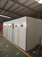 Prix compétitif Grande capacité Incubateur à œufs 10000 œufs Machine d'incubation d'œufs bon marché