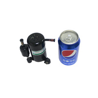 Compresseur Scroll R290 Mini Compresseur de Refroidissement 24V