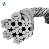 Kabel SS304 7x7 Konstruktion 2mm 7x7 Edelstahl Freis ch neiden 316l Edelstahl Vergoldete Drähte Blei dichtung draht Ss 316