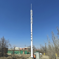 Tour monopoteau en acier pour télécommunications, tour monotube, mât d'antenne 4G 5G, poteau unique pour réseau de télécommunications