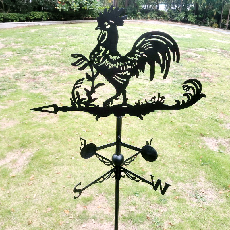 coq