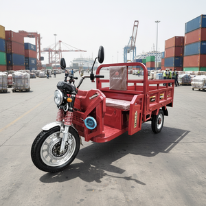 Tricycle électrique DVIP 60V 1500W à 3 roues, vélo cargo ouvert, capacité de charge 200-300 kg, vente en gros à prix abordable pour les revendeurs et l'usage domestique - Product Image 1