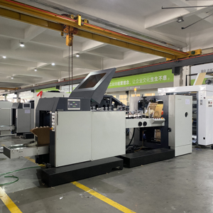 Rokin thương hiệu HC-LQ không kéo dài tã và giấy vệ sinh túi làm máy với động cơ lõi mang các thành phần động cơ và PLC - Product Image 4