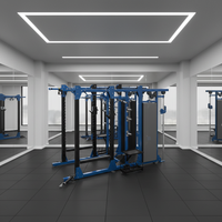 Rack de Squat Complet ROSEN Fitness pour Entraînement Corporel Complet en Salle de Sport Commerciale