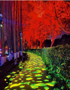 Luz de proyección para árboles de exterior para iluminación de parques y exhibiciones de iluminación festiva en jardines - Product Image 1