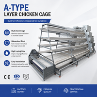 Nouveau système d'alimentation automatique pour cages à poules en batterie, en acier galvanisé, gain de place, équipement avicole moderne, direct usine