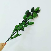 Tige de rose longue conservée pour décoration/maison/arrangement floral de mariage sur INS, offre spéciale 2022