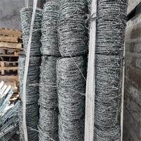 Alambre de Púas Galvanizado por Inmersión en Caliente |   Rollo de Alambre de Púas Recubierto de PVC Anti-Escalada para Cercas de Seguridad Perimetral