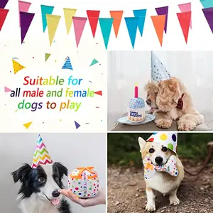 ZMaker, плюшевая игрушка для собак на день рождения, игрушки для жевания в виде костей на день рождения, игрушки для собак со свечами