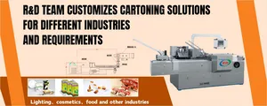 Auto Feeding Cartoning Machine Tablet Pill Blister Cartoning Machine Blister Plate Into Carton Packing Machine