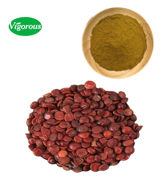 Natural Wholesale High Quality Ziziphus Jujuba Powder Sour Jujube Seed Extract Powder for Good Sleep