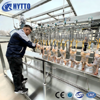 Équipement d'abattage de volailles prêt à l'emploi pour usine avicole, ligne d'abattage de poulets, équipement d'abattage, système 1000BPH