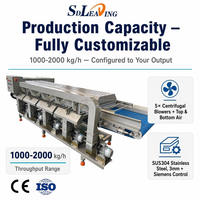 Hoog rendement automatische groente-luchtdroogmachine blaasdroger ontwatering voor fruit, salade, bladgroenten, koolverwerking