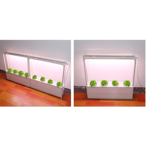 Macetas para Cultivo sin Suelo en Balcón, Equipo Hidropónico para Vegetales, Caja <span class=keywords><strong>de</strong></span> Cultivo para <span class=keywords><strong>Fresas</strong></span>, Macetas para Flores - Product Image 2