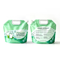 Pochette souple personnalisée avec logo pour détergent à lessive, avec bec verseur et poignée Flexiloop, sac d'emballage liquide avec bouchon