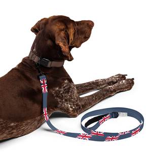 Correa de perro inglesa Union Jack, accesorios del orgullo británico, equipo para mascotas con bandera del Reino Unido para perros y gatos - Product Image 4