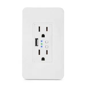 wifi smart wall switch with USB port quick charge wall socket USB outlet dual PLUG alexa google home wireless smart switch wall