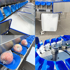 HNOC 야채 아보카도 망고 정렬 학년 기계 물고기 분류기 기계 새우 정렬 기계 판매 - Product Image 5