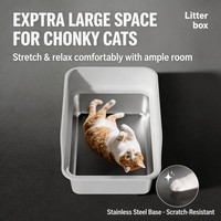 Bac à litière pour chat en acier inoxydable, design ouvert populaire, écologique, avec clôture haute anti-éclaboussures, facile à nettoyer pour la maison du chat