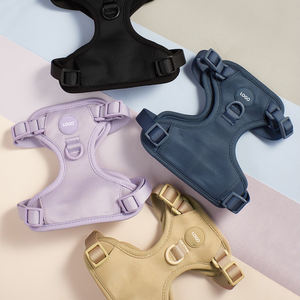 Gran oferta 2023, conjuntos de arnés de perro personalizado de neopreno de buena calidad, collares transpirables de diseñador para perros y mascotas, correas, arneses - Product Image 2