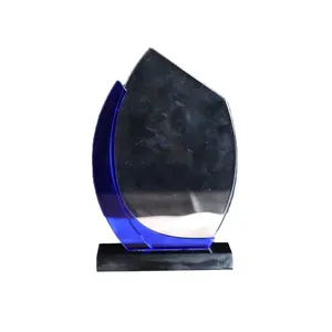 Colorful Acrylic Trophy Thank You Acrylic Award With Different Type